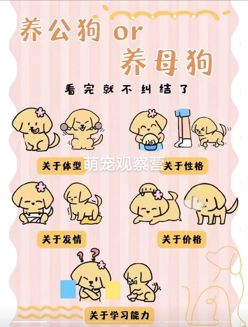 宠物医疗常识(宠物医疗内容) 第2张 宠物医疗常识(宠物医疗内容) 第2张