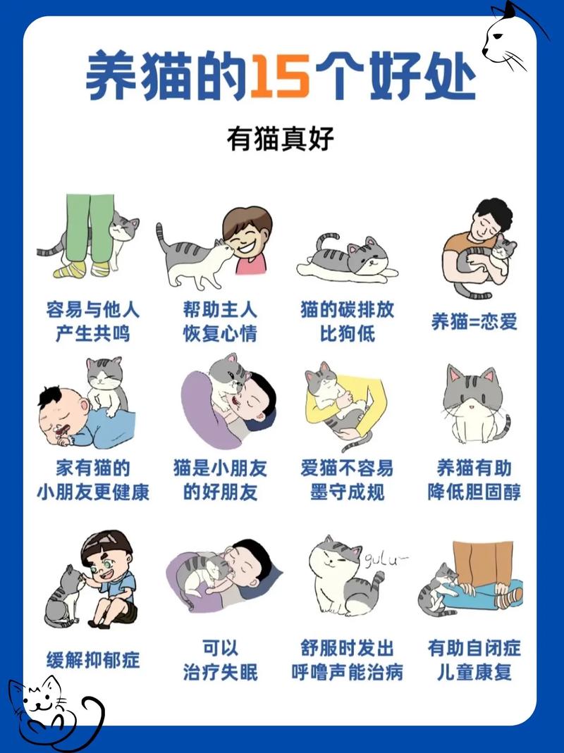 宠物医疗常识(宠物医疗内容) 第4张 宠物医疗常识(宠物医疗内容) 第4张