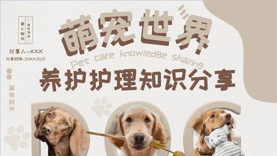 宠物医疗常识(宠物医疗内容) 第6张 宠物医疗常识(宠物医疗内容) 第6张