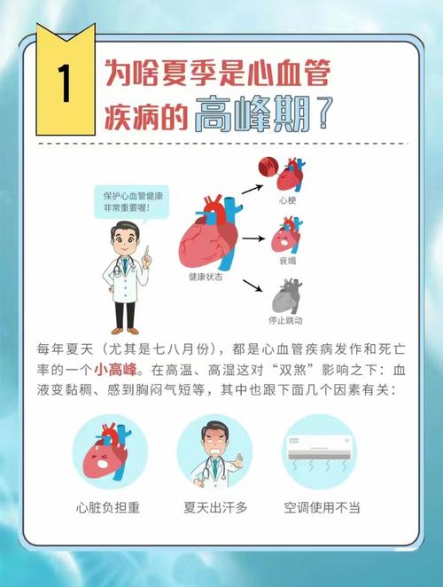 心脑血管常识(心脑血管常识知识) 第3张 心脑血管常识(心脑血管常识知识) 第3张