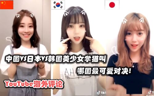 稍有常识人都可以看出的简单介绍 第4张 稍有常识人都可以看出的简单介绍 第4张