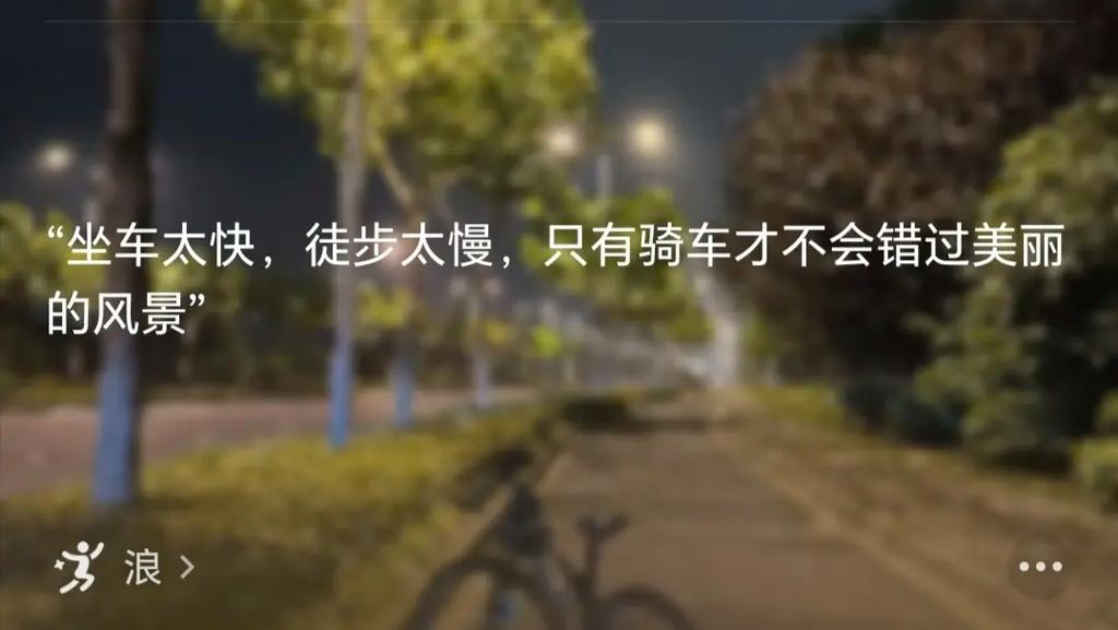 怎么形容夜晚出行(怎么形容夜晚出行的美) 第6张 怎么形容夜晚出行(怎么形容夜晚出行的美) 第6张