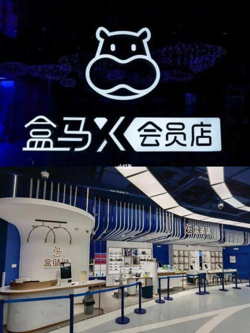 长三角出行礼包在哪里领取(长三角车生活平台) 第3张 长三角出行礼包在哪里领取(长三角车生活平台) 第3张