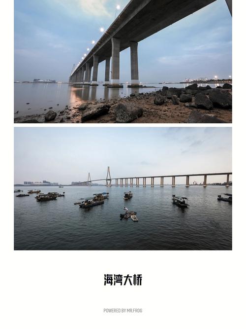 湛江交通出行变化发展前景(湛江交通的变化) 第1张 湛江交通出行变化发展前景(湛江交通的变化) 第1张