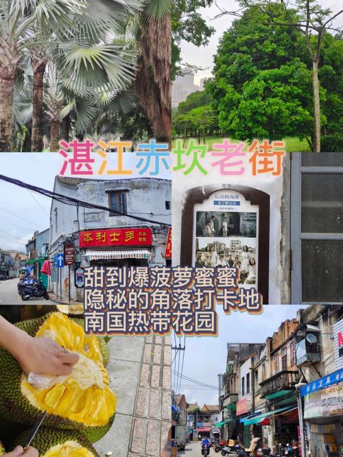 湛江交通出行变化发展前景(湛江交通的变化) 第6张 湛江交通出行变化发展前景(湛江交通的变化) 第6张