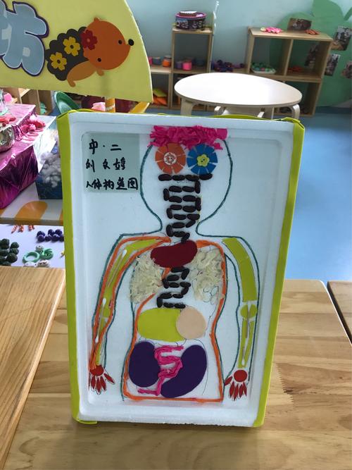人体基本常识 - 人体基本常识思维导图 第5张 人体基本常识 - 人体基本常识思维导图 第5张