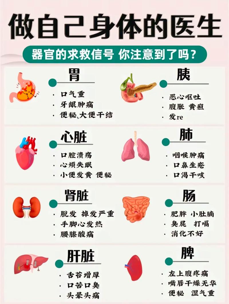 人体基本常识 - 人体基本常识思维导图 第6张 人体基本常识 - 人体基本常识思维导图 第6张