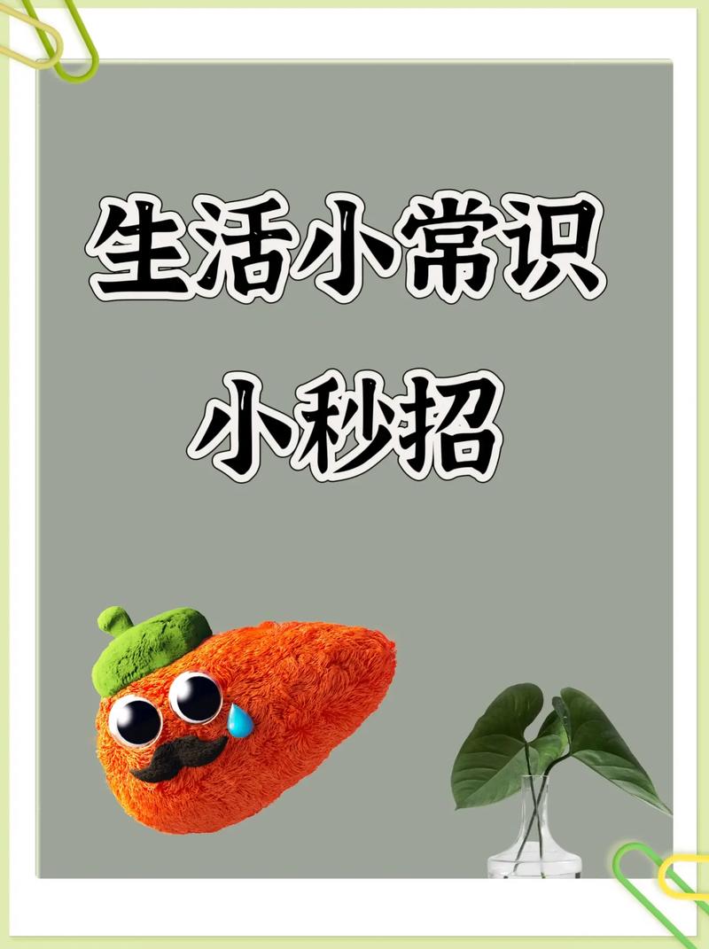 生活常识图片 - 生活常识图片带字大 第4张 生活常识图片 - 生活常识图片带字大 第4张