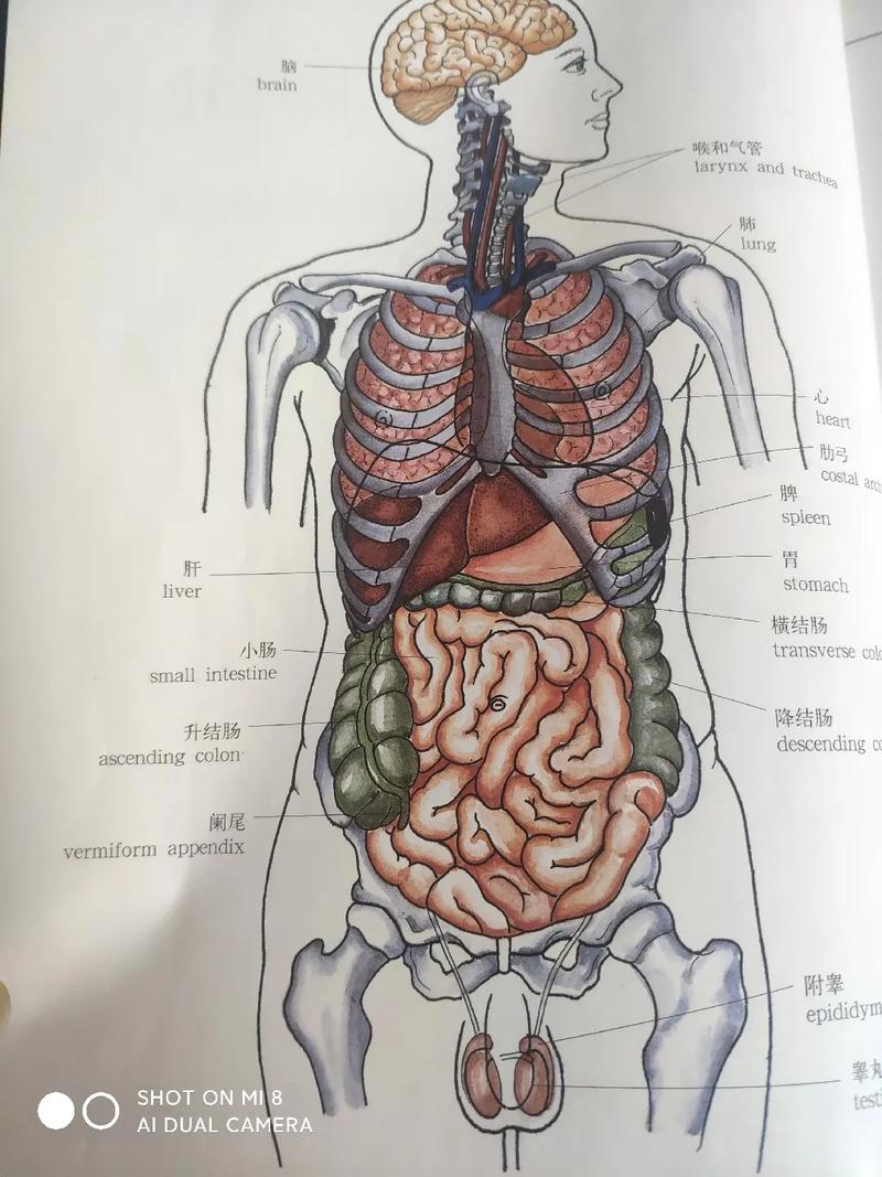 生活常识图片 - 生活常识图片带字大 第5张 生活常识图片 - 生活常识图片带字大 第5张