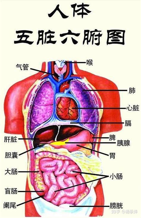 生活常识图片 - 生活常识图片带字大 第6张 生活常识图片 - 生活常识图片带字大 第6张