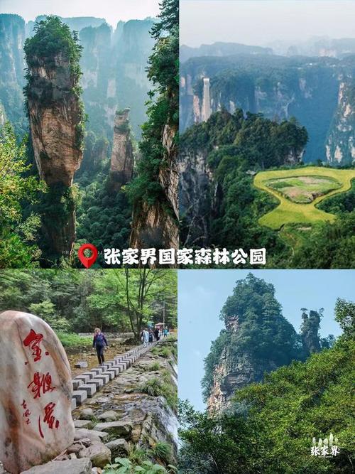 张家界市车辆出行要求,张家界市车辆出行要求核酸检测 第1张 张家界市车辆出行要求,张家界市车辆出行要求核酸检测 第1张