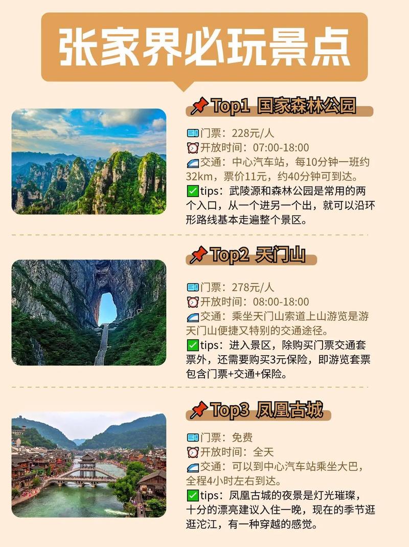张家界市车辆出行要求,张家界市车辆出行要求核酸检测 第8张 张家界市车辆出行要求,张家界市车辆出行要求核酸检测 第8张