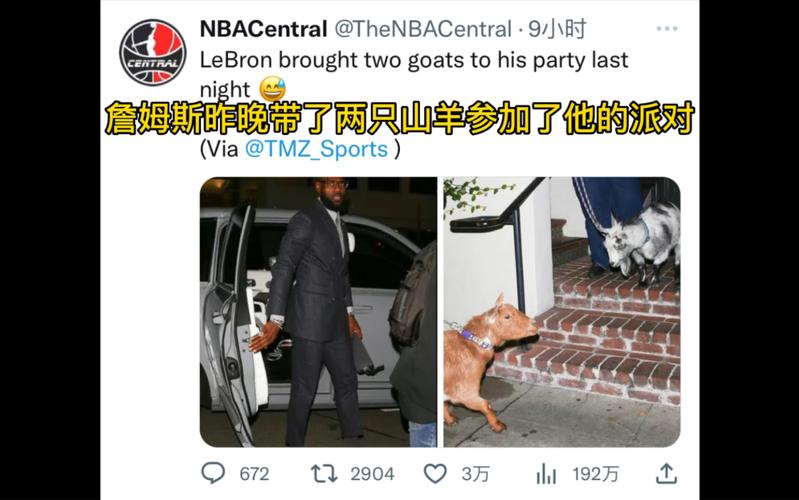 詹姆斯出行带山羊,詹姆斯带球 第6张 詹姆斯出行带山羊,詹姆斯带球 第6张