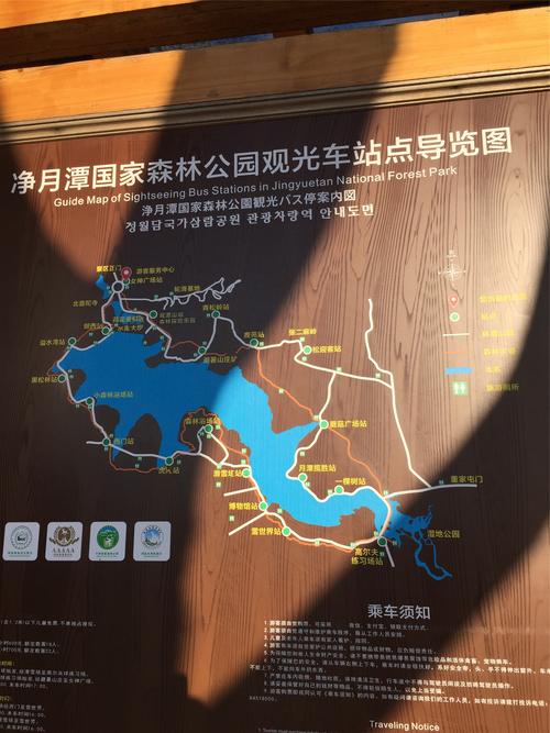 长春市孕妇出行规定(长春孕妇群) 第4张 长春市孕妇出行规定(长春孕妇群) 第4张