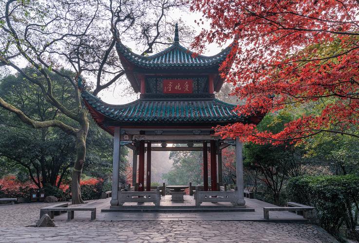 长沙已摘星可以出行郴州吗 - 长沙手可摘星城 第7张 长沙已摘星可以出行郴州吗 - 长沙手可摘星城 第7张