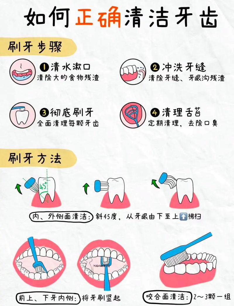 牙齿矫正常识 - 牙齿矫正相关知识 第5张 牙齿矫正常识 - 牙齿矫正相关知识 第5张