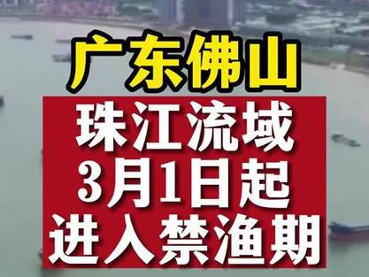 湛江出行最新通知,湛江出行最新通知今天 第2张 湛江出行最新通知,湛江出行最新通知今天 第2张
