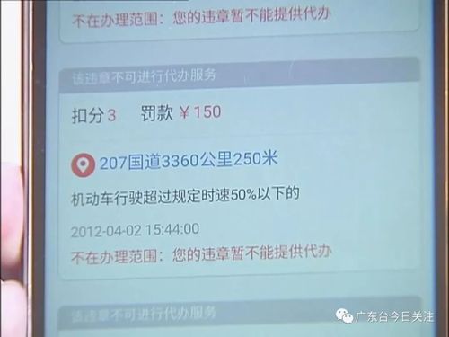湛江出行最新通知,湛江出行最新通知今天 第6张 湛江出行最新通知,湛江出行最新通知今天 第6张