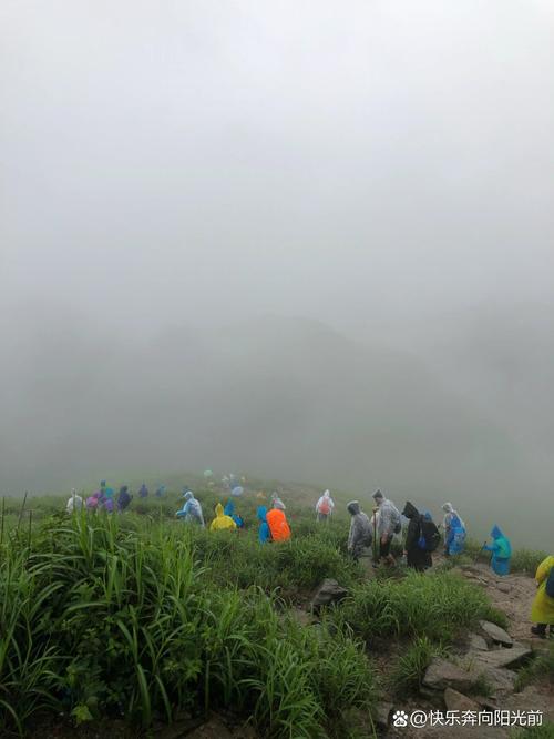 长期在雨天出行好吗 - 长期在雨天出行好吗英语 第6张 长期在雨天出行好吗 - 长期在雨天出行好吗英语 第6张