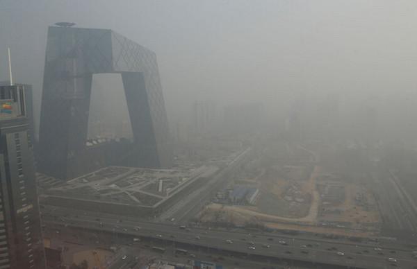 怎么样劝说爸爸绿色出行(怎么样劝说爸爸绿色出行呢) 第4张 怎么样劝说爸爸绿色出行(怎么样劝说爸爸绿色出行呢) 第4张