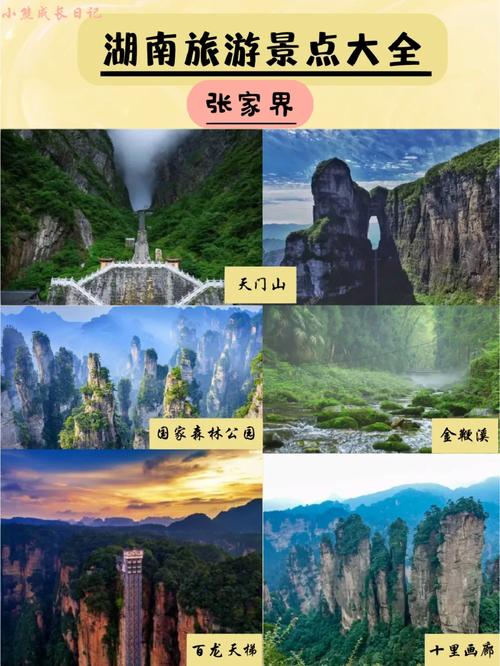 长沙出行实践目的 - 湖南长沙出行 第4张 长沙出行实践目的 - 湖南长沙出行 第4张