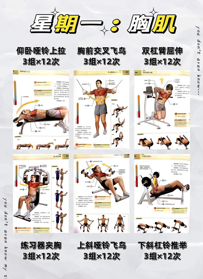 初学者健身常识必备,新手必读的健身基础知识 第5张 初学者健身常识必备,新手必读的健身基础知识 第5张