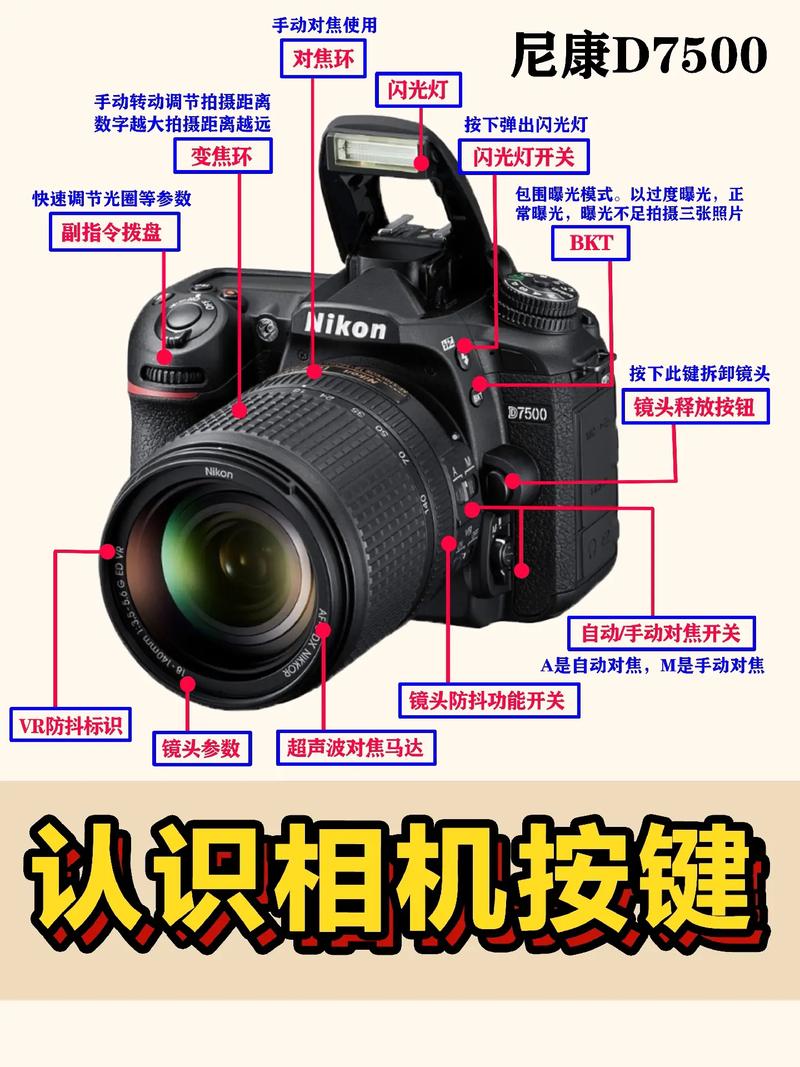 单反基本常识(单反摄影知识与技巧与入门) 第1张 单反基本常识(单反摄影知识与技巧与入门) 第1张