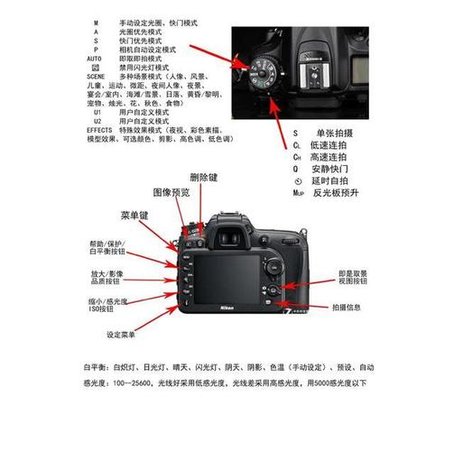 单反基本常识(单反摄影知识与技巧与入门) 第3张 单反基本常识(单反摄影知识与技巧与入门) 第3张