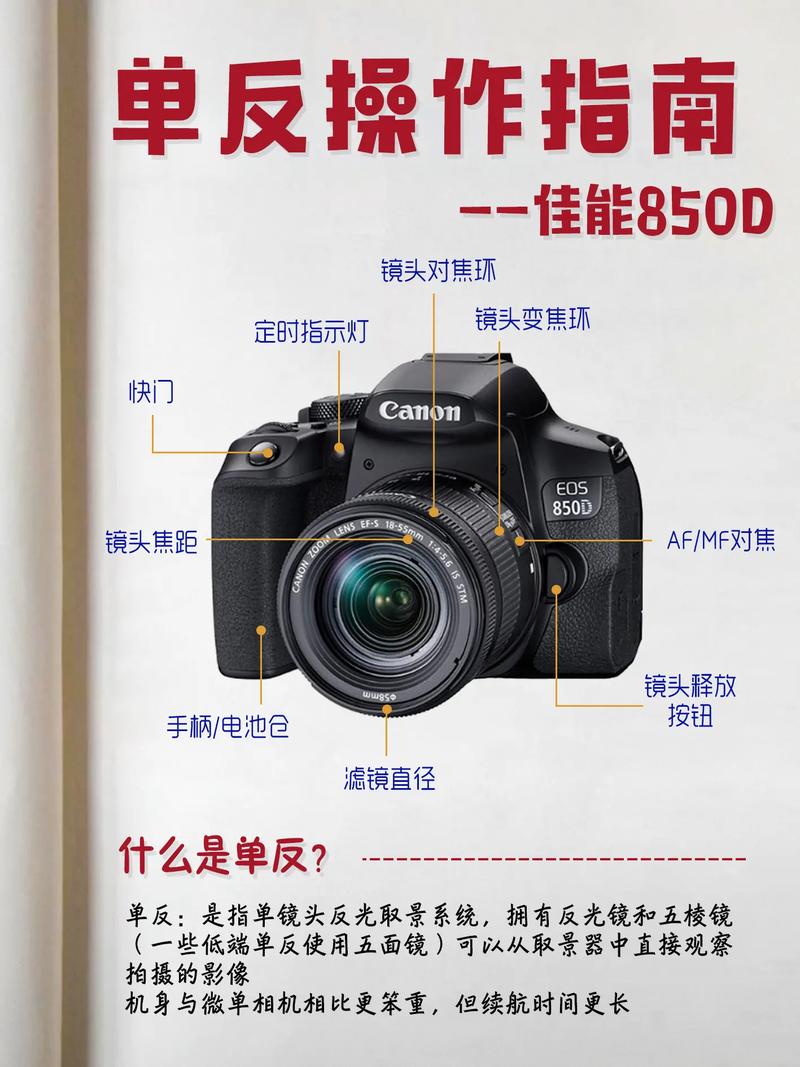 单反基本常识(单反摄影知识与技巧与入门) 第5张 单反基本常识(单反摄影知识与技巧与入门) 第5张