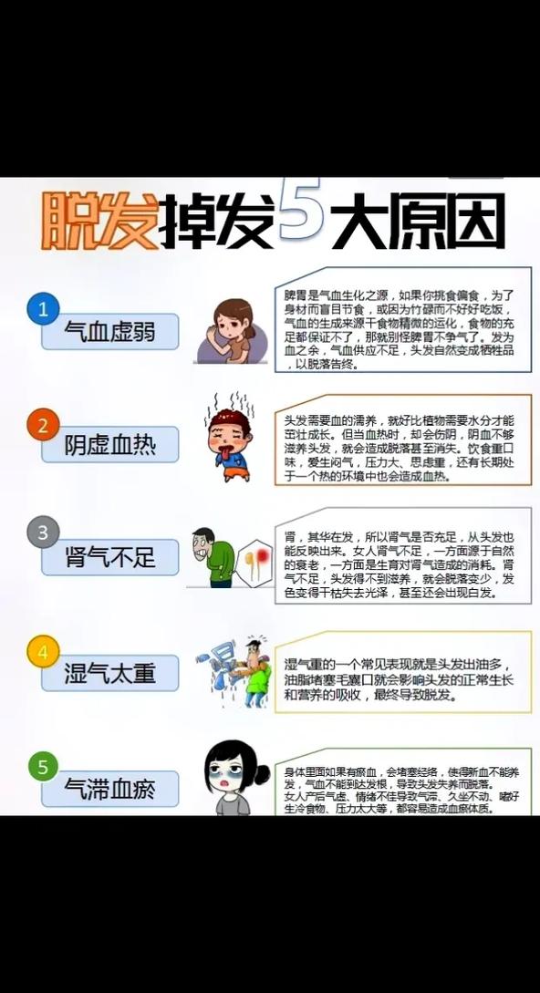 美容美发小常识,美容美发基础知识 第6张 美容美发小常识,美容美发基础知识 第6张
