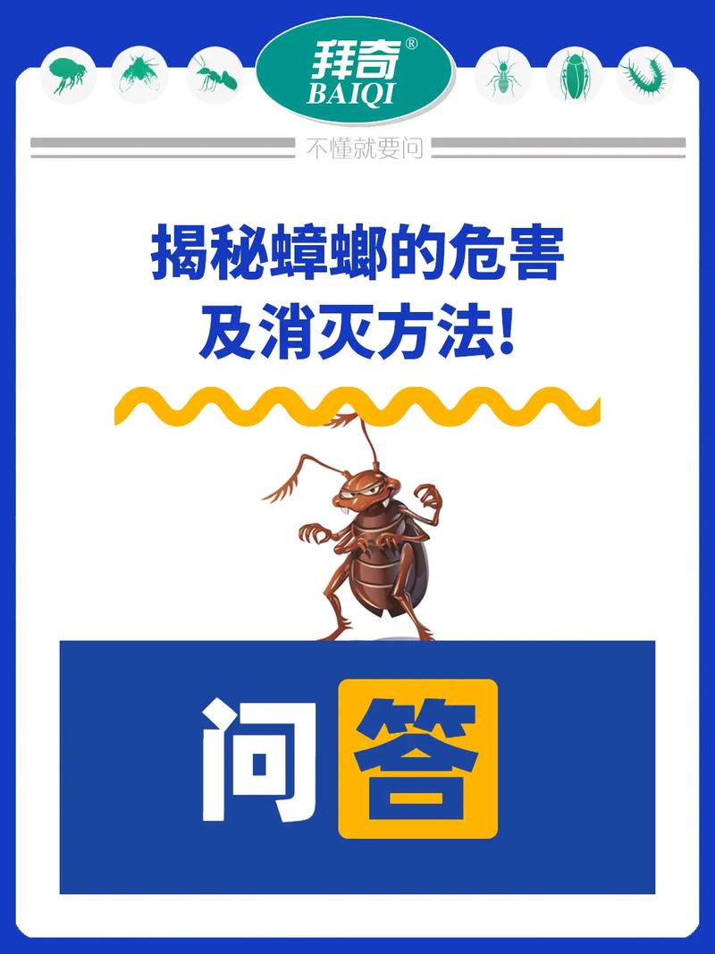 蟑螂为什么都是晚上出行,蟑螂为什么会在晚上出来 第4张 蟑螂为什么都是晚上出行,蟑螂为什么会在晚上出来 第4张