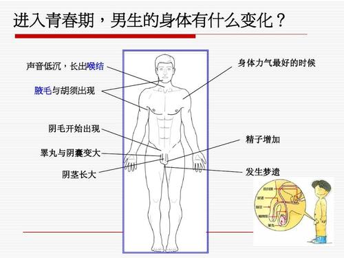 女生要知道的男生生理常识 - 女生要知道的男生生理常识是什么 第1张 女生要知道的男生生理常识 - 女生要知道的男生生理常识是什么 第1张