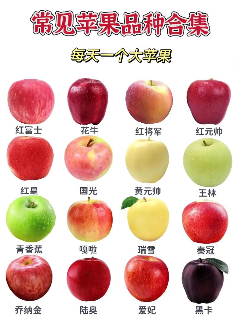 70种水果常识大全 - 70种水果常识大全图片 第5张 70种水果常识大全 - 70种水果常识大全图片 第5张