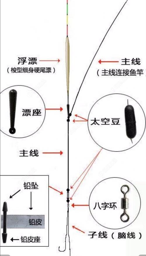 钓鱼常识大全(钓鱼知识大全书) 第3张 钓鱼常识大全(钓鱼知识大全书) 第3张