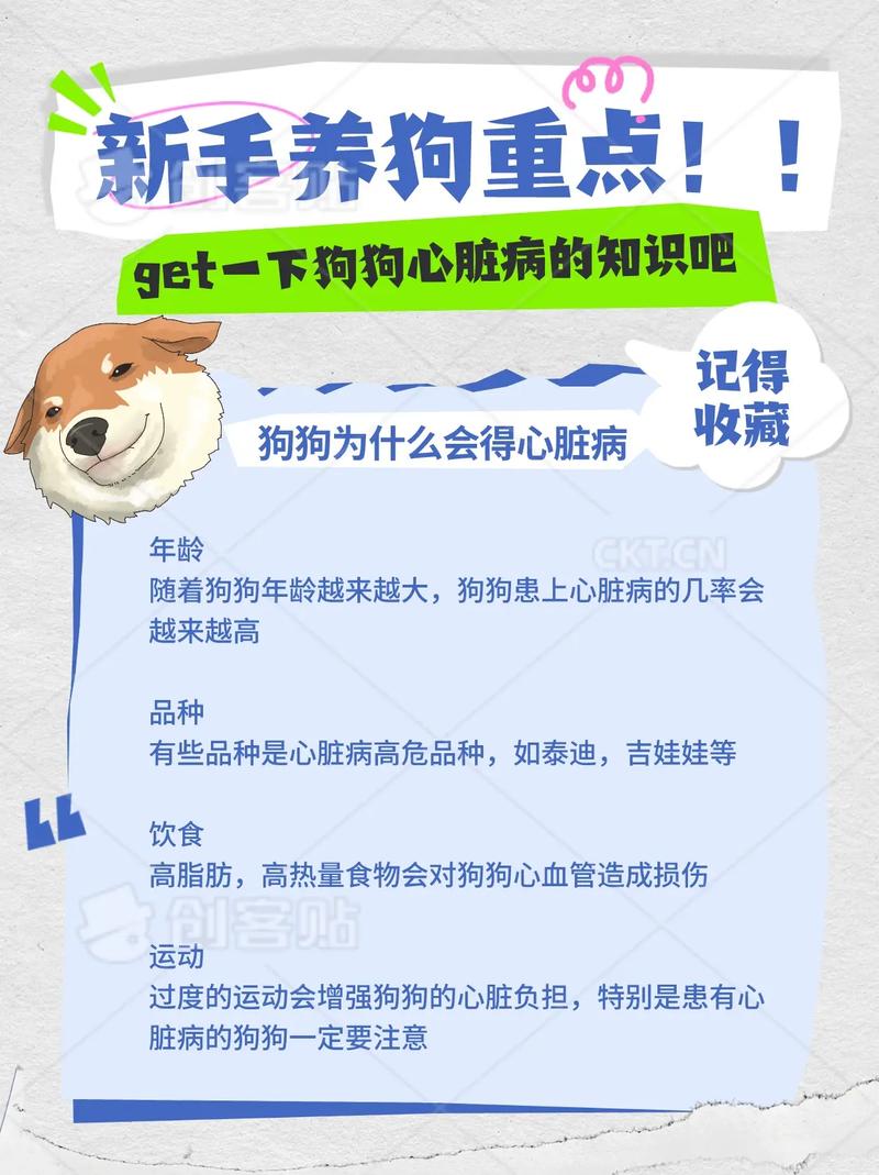 狗狗饲养常识,狗狗饲养常识知识大全 第2张 狗狗饲养常识,狗狗饲养常识知识大全 第2张