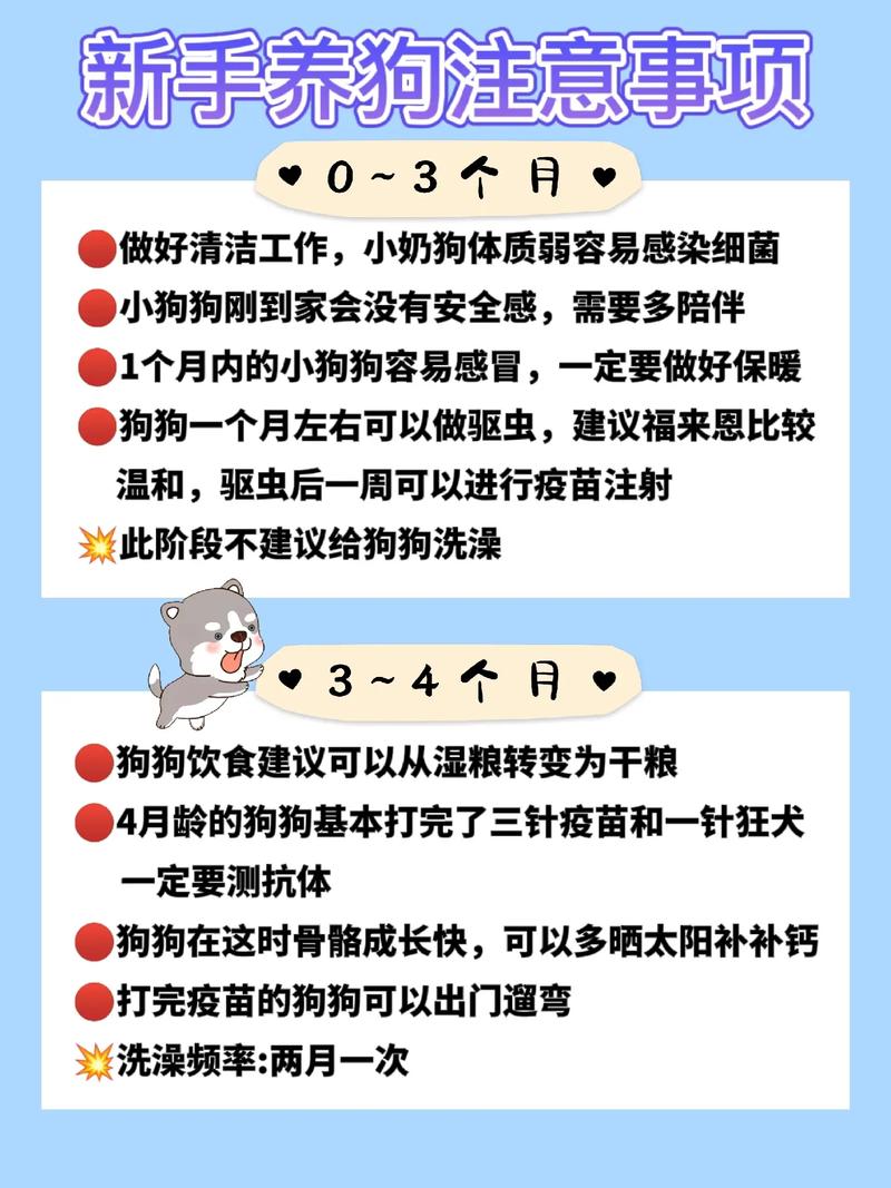 狗狗饲养常识,狗狗饲养常识知识大全 第3张 狗狗饲养常识,狗狗饲养常识知识大全 第3张