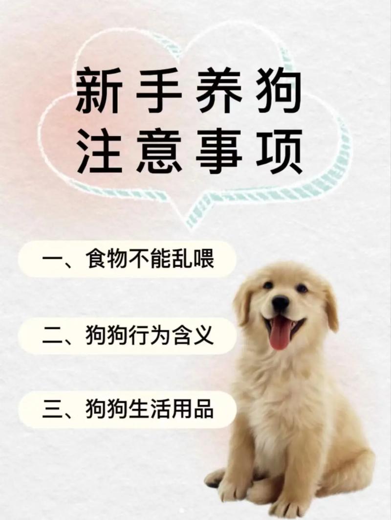 狗狗饲养常识,狗狗饲养常识知识大全 第4张 狗狗饲养常识,狗狗饲养常识知识大全 第4张