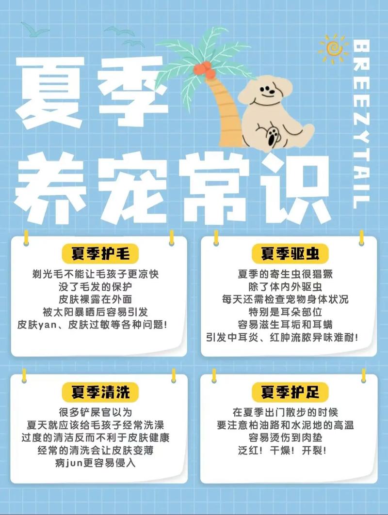 宠物健康常识(宠物日常小知识) 第1张 宠物健康常识(宠物日常小知识) 第1张