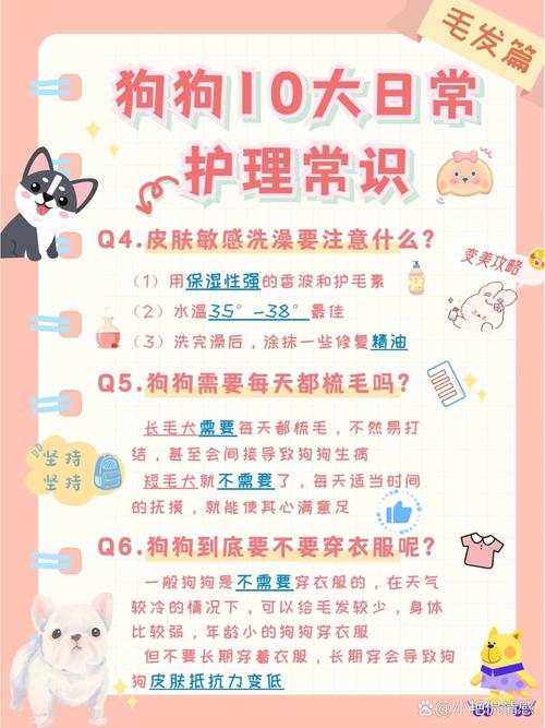 宠物健康常识(宠物日常小知识) 第3张 宠物健康常识(宠物日常小知识) 第3张
