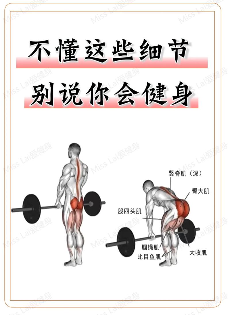 健身房健身小常识(健身房健身必备小常识) 第3张 健身房健身小常识(健身房健身必备小常识) 第3张