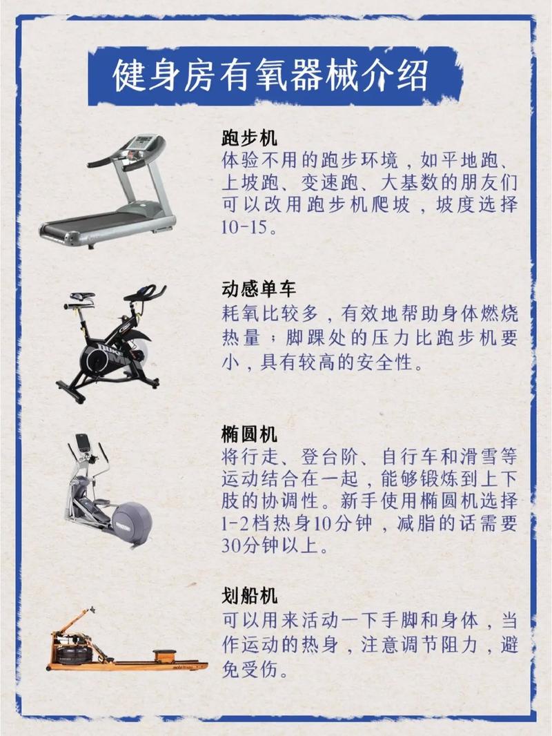 健身房健身小常识(健身房健身必备小常识) 第6张 健身房健身小常识(健身房健身必备小常识) 第6张