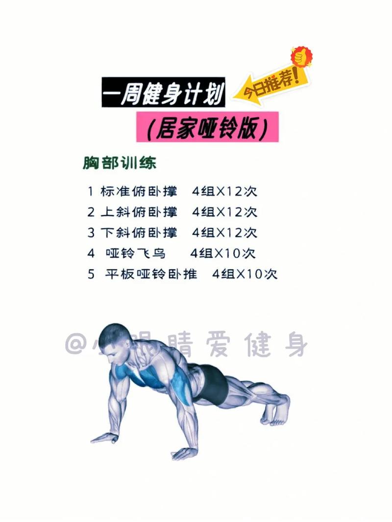 健身房健身小常识(健身房健身必备小常识) 第7张 健身房健身小常识(健身房健身必备小常识) 第7张