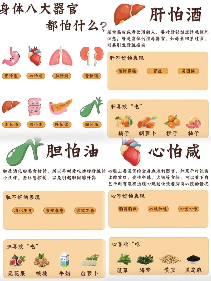 日常养生常识,100条养生常识 第7张 日常养生常识,100条养生常识 第7张