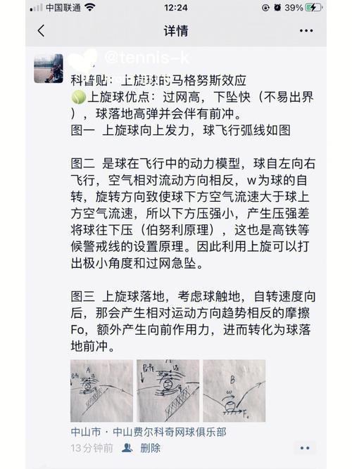 网球基本常识 - 网球运动基础知识 第5张 网球基本常识 - 网球运动基础知识 第5张