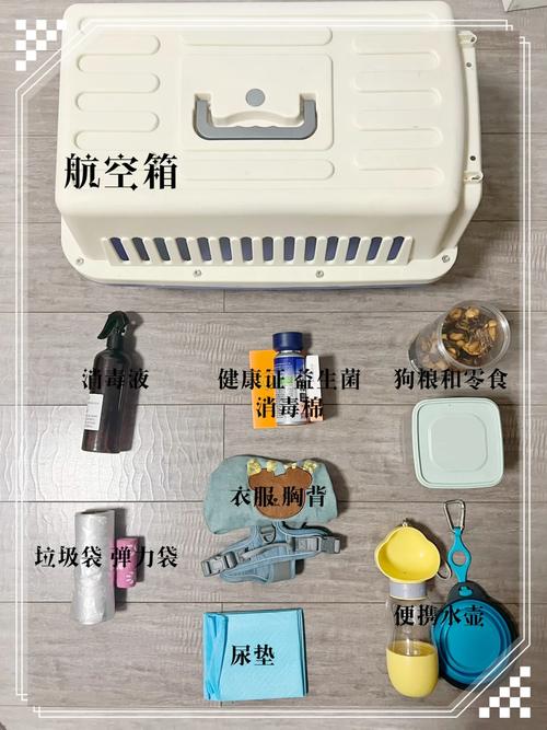 折叠水桶方便出行,折叠水桶的缺点 第4张 折叠水桶方便出行,折叠水桶的缺点 第4张