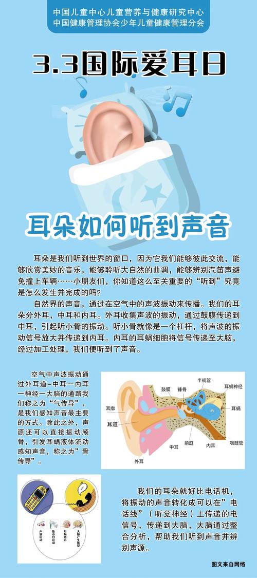保护耳朵的小常识(保护耳朵的小常识10条) 第1张 保护耳朵的小常识(保护耳朵的小常识10条) 第1张