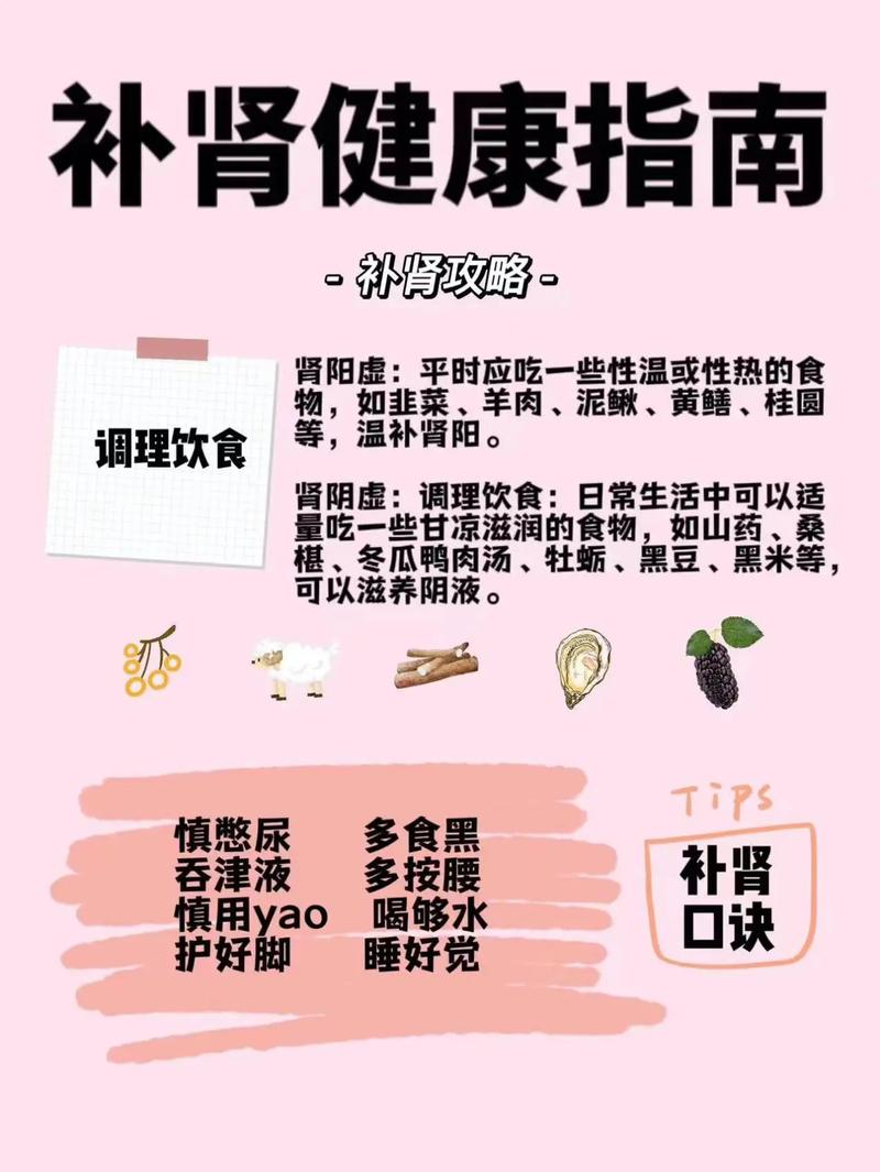 补肾的小常识,补肾有什么讲究 第2张 补肾的小常识,补肾有什么讲究 第2张