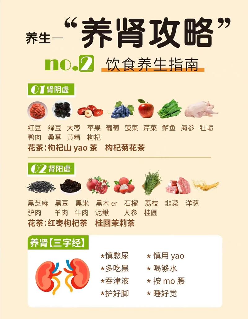 补肾的小常识,补肾有什么讲究 第7张 补肾的小常识,补肾有什么讲究 第7张