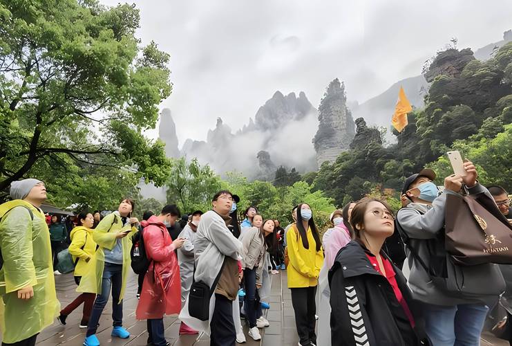 张家界春节期间出行人员(出张家界政策) 第4张 张家界春节期间出行人员(出张家界政策) 第4张