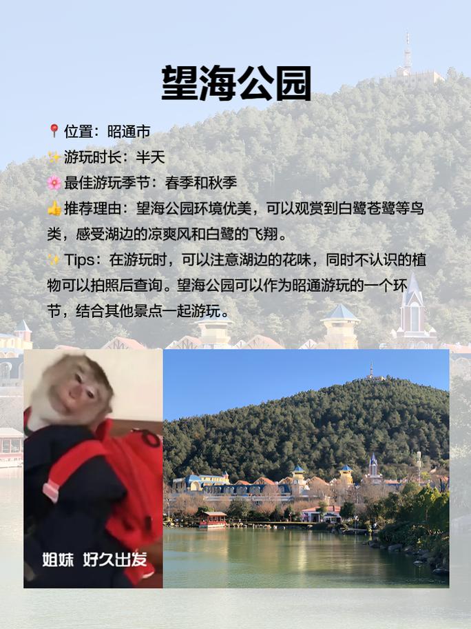 昭阳出行跟旅程出行哪个好(昭阳出行怎么退票) 第3张 昭阳出行跟旅程出行哪个好(昭阳出行怎么退票) 第3张